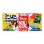Tessa Facial Tissue 2 x 200 s