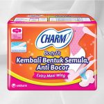 Charm Body Fit Extra Maxi Wing 20s