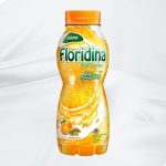 Floridina Florida Orange Botol 350ml