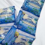 Charm Cool Fresh Wing Natural Mint 23cm 2s