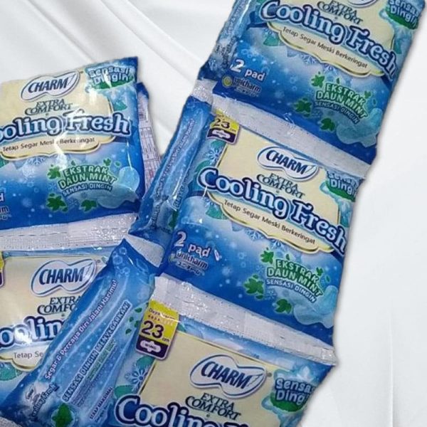 Charm Cool Fresh Wing Natural Mint 23cm 2s