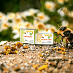 Madurasa 25G Jeruk Nipis